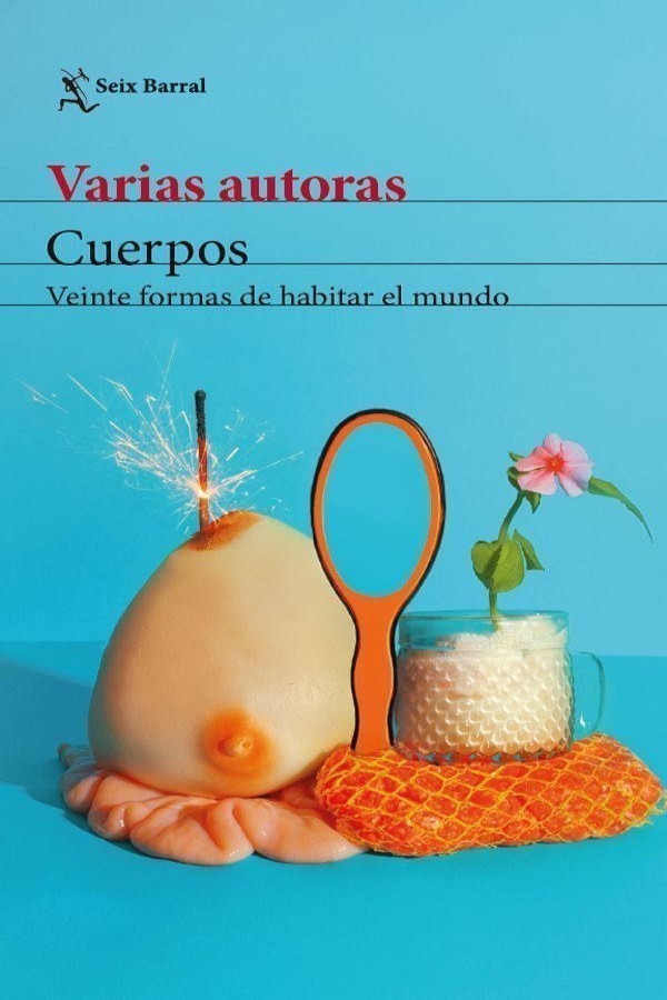 Cuerpos