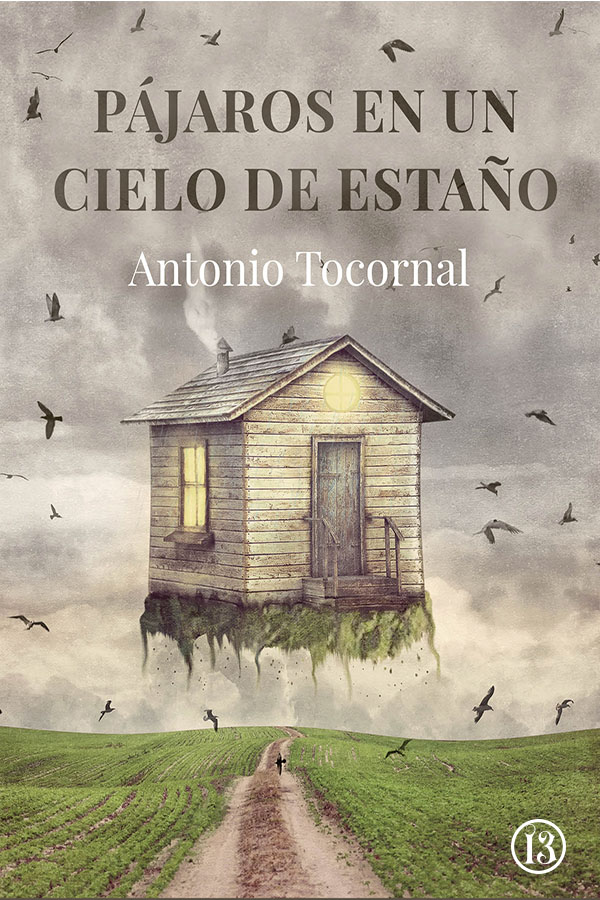 Pájaros en un cielo de estaño