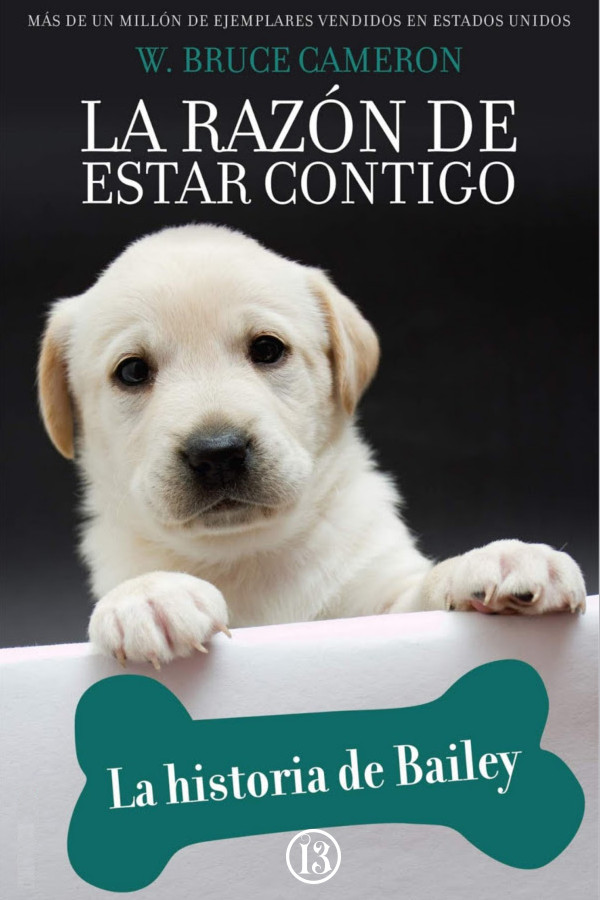 La razón de estar contigo. La historia de Bailey