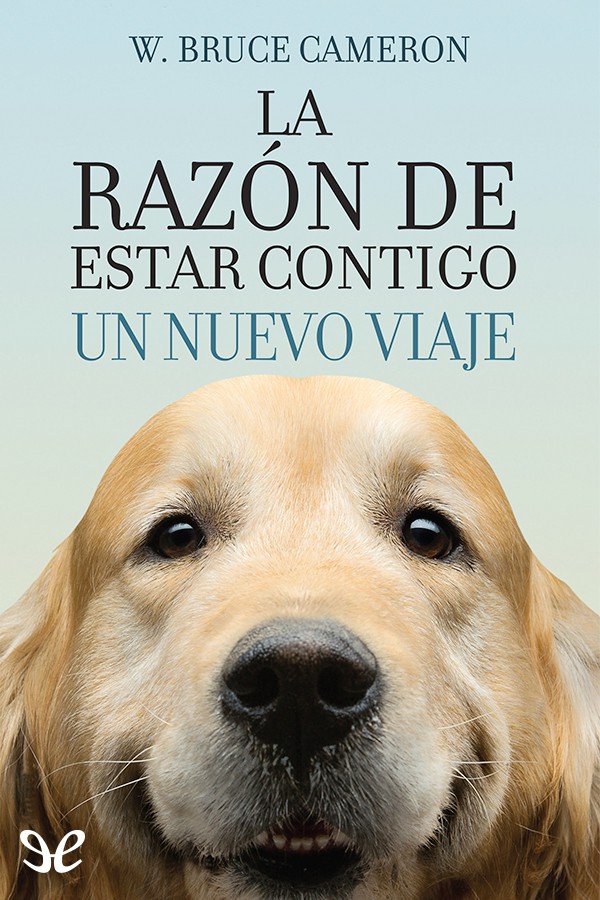 La razón de estar contigo. Un nuevo viaje