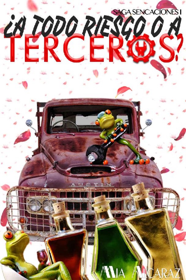 ¿A todo riesgo o a terceros?