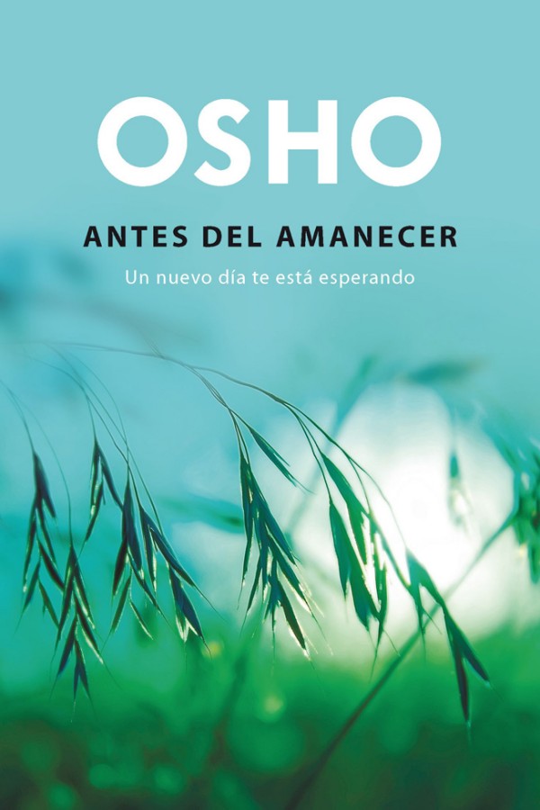 Antes del amanecer
