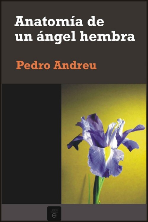 Anatomía de un ángel hembra