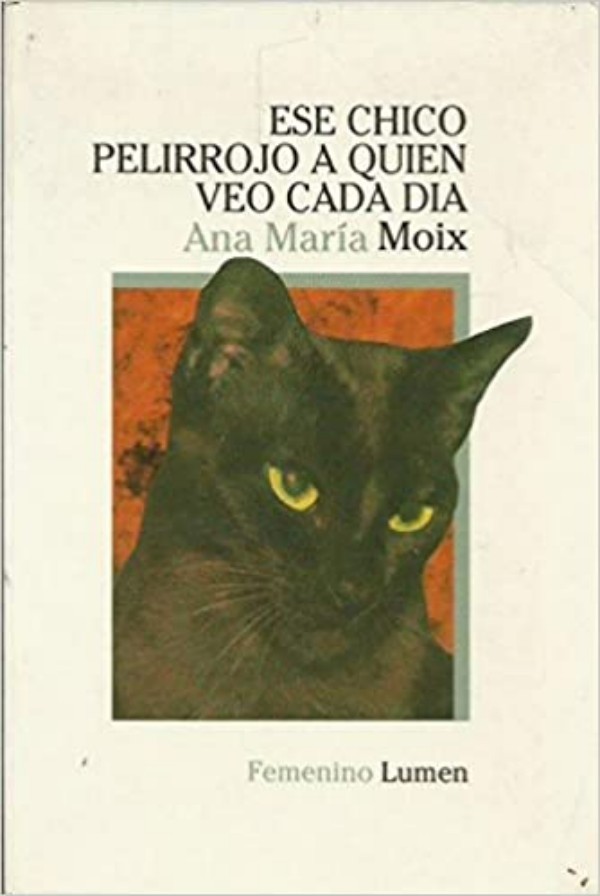 Ese chico pelirrojo a quien veo cada día