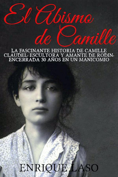 El abismo de Camille