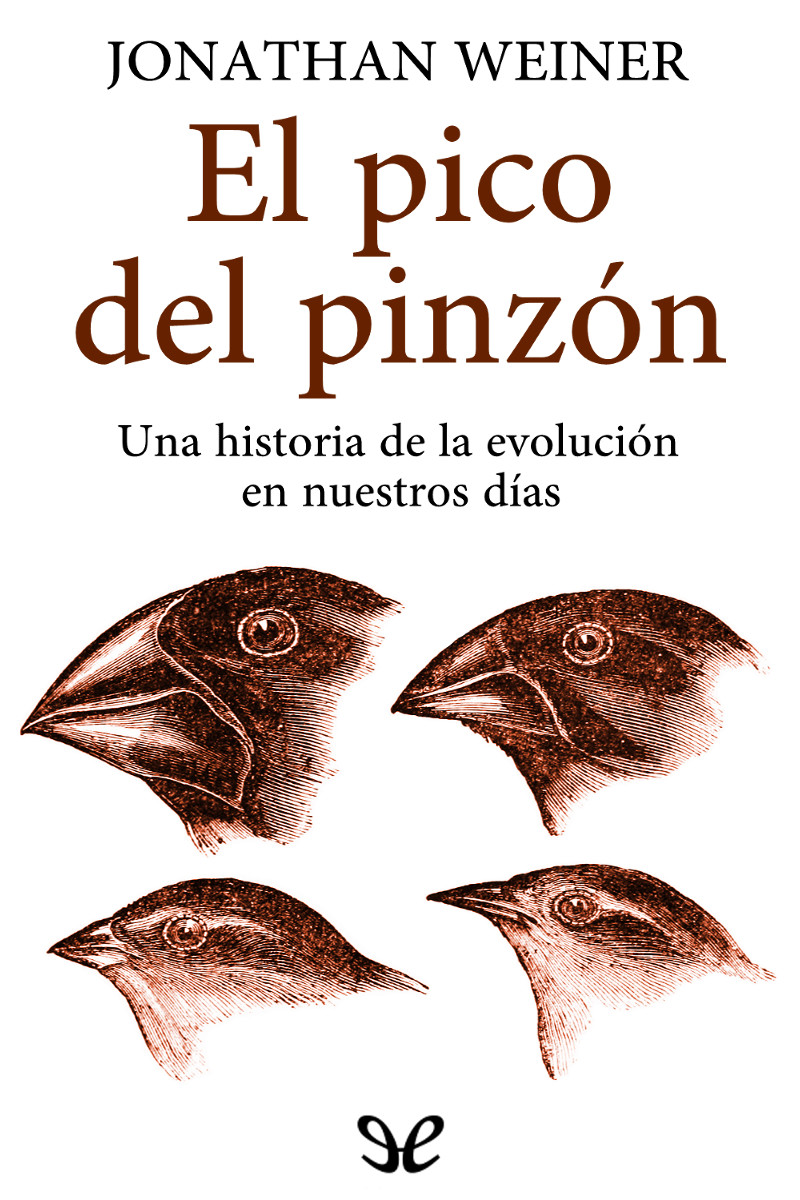 El pico del pinzón