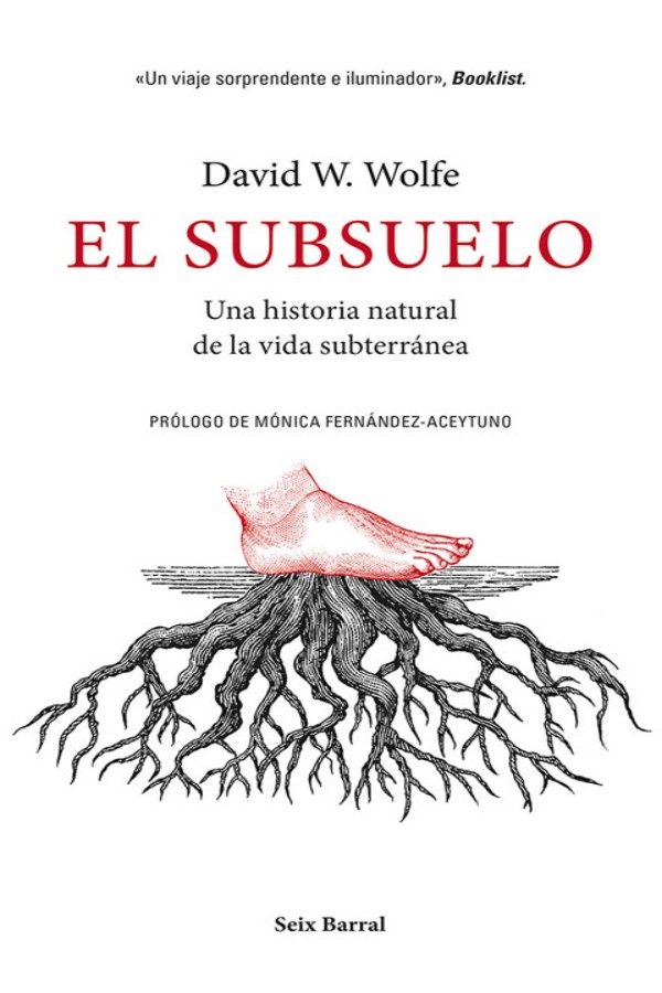 El subsuelo
