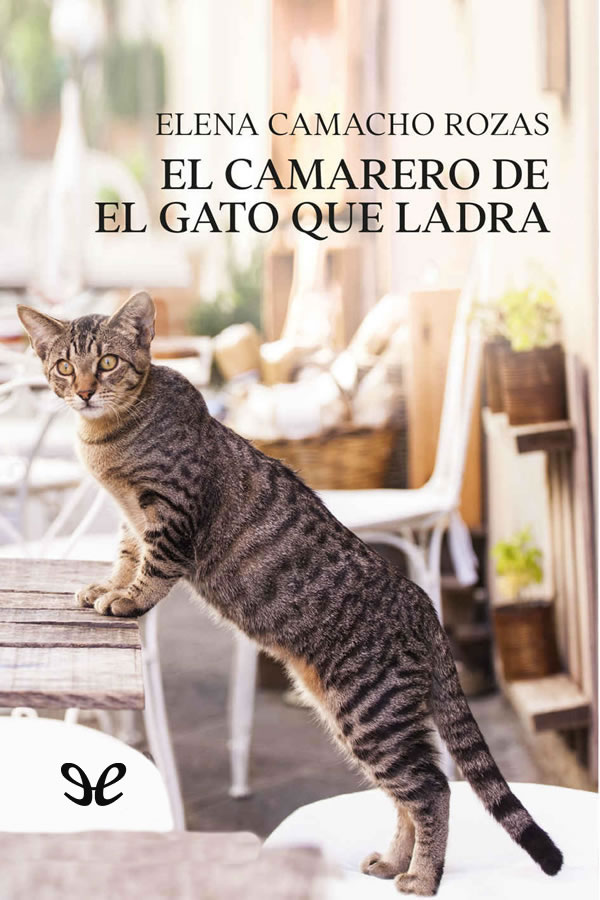 El camarero de El gato que ladra