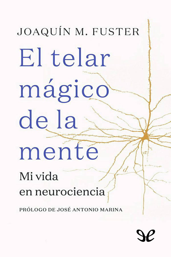 El telar mágico de la mente