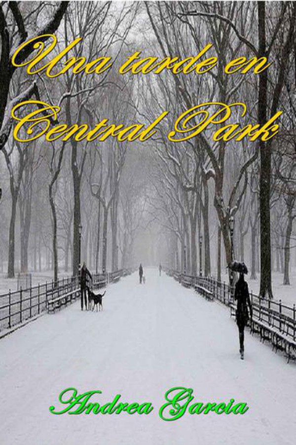 Una tarde en Central Park