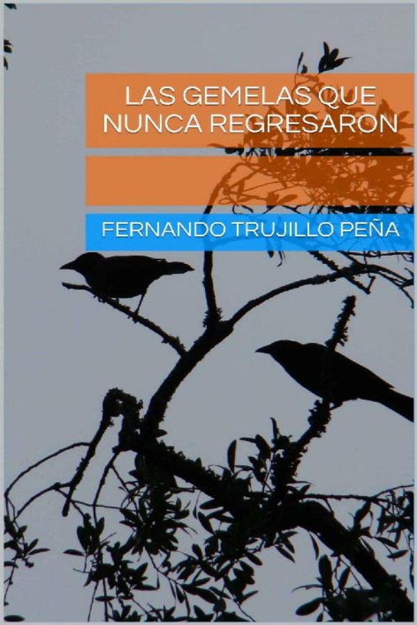 Las gemelas que nunca regresaron