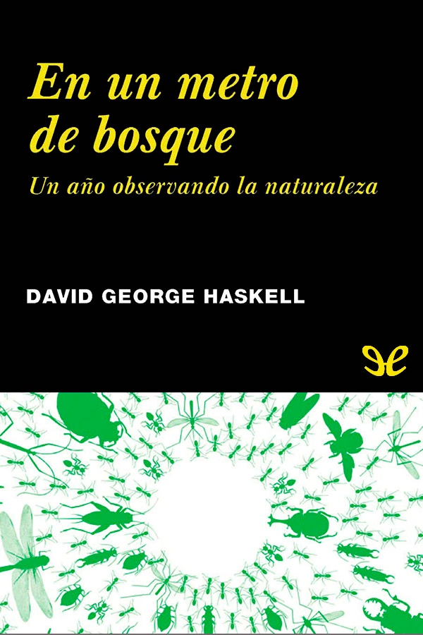 En un metro de bosque