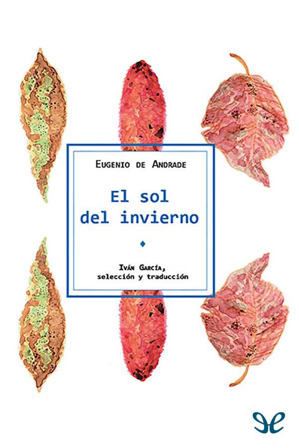 El sol del invierno