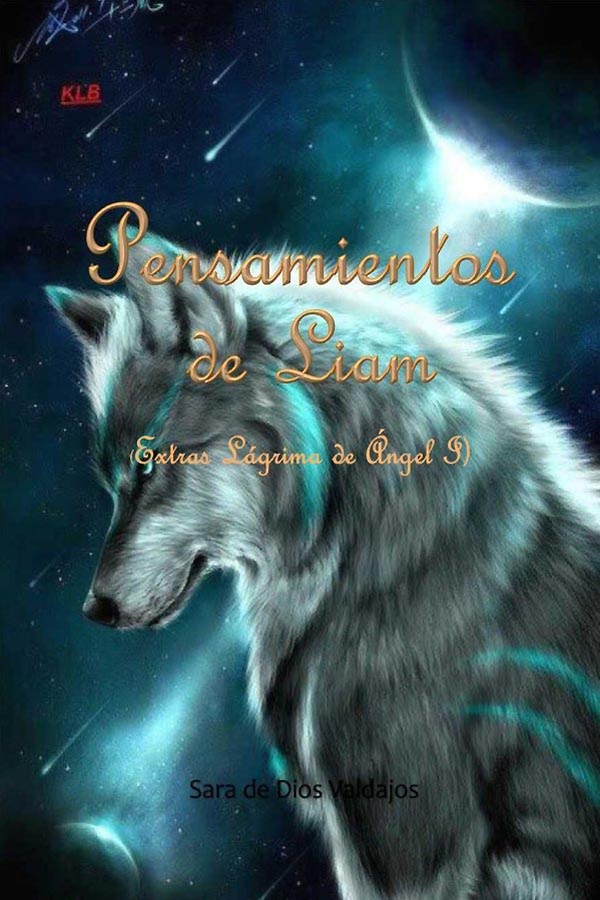 Pensamientos de Liam