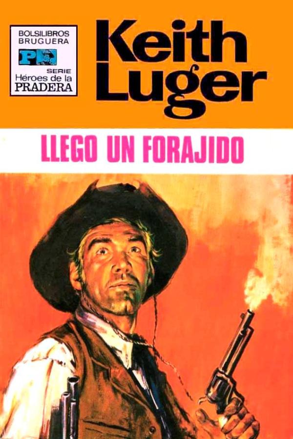 Llegó un forajido