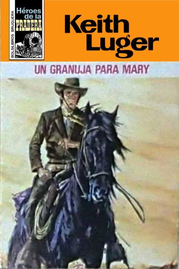 Un granuja para Mary
