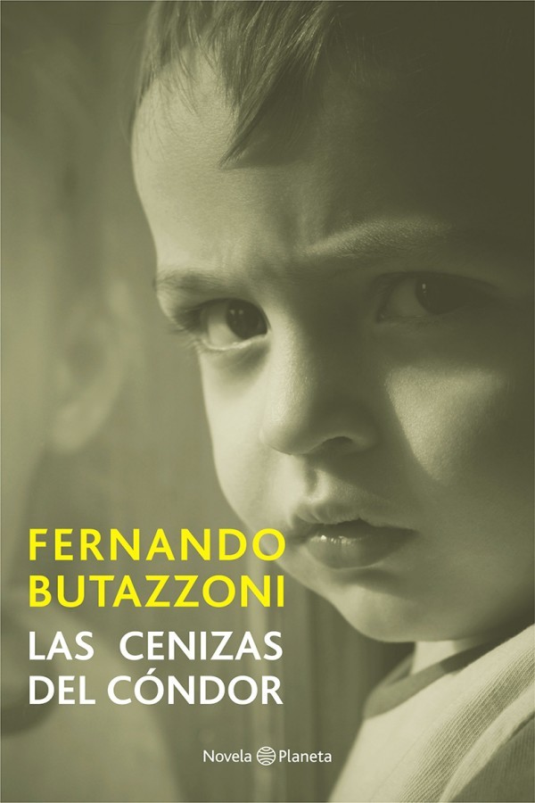 Las cenizas del condor