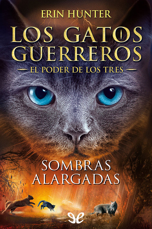 Sombras alargadas