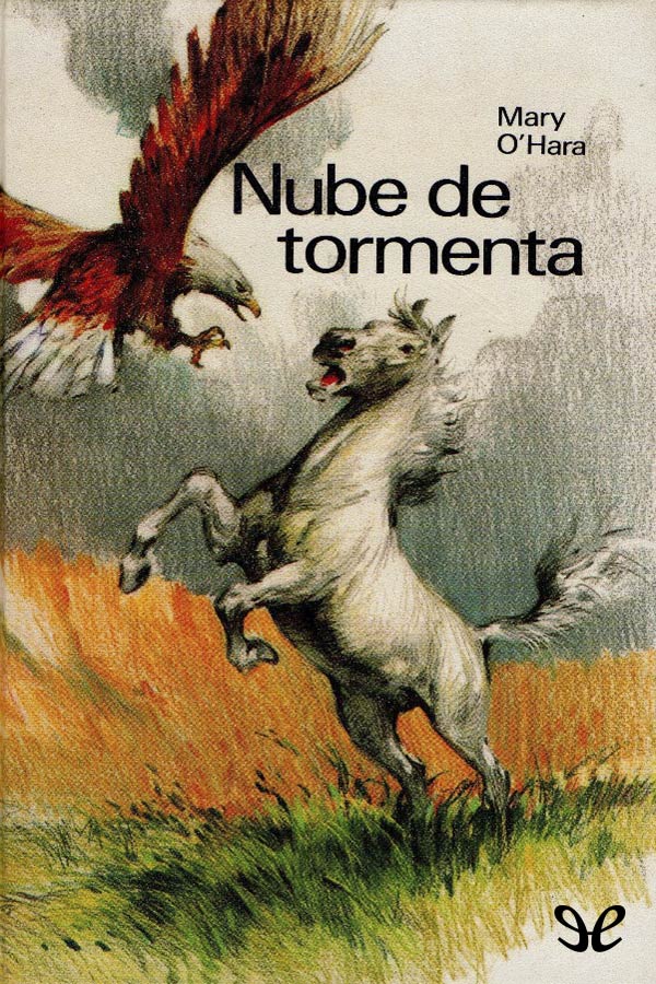 Nube de tormenta