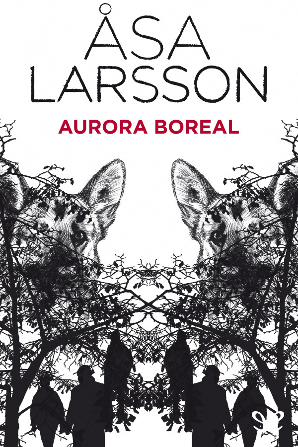 Aurora boreal